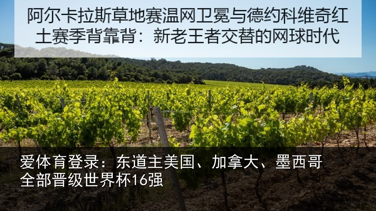 爱体育登录:东道相关情况哥全部晋级世界杯16强