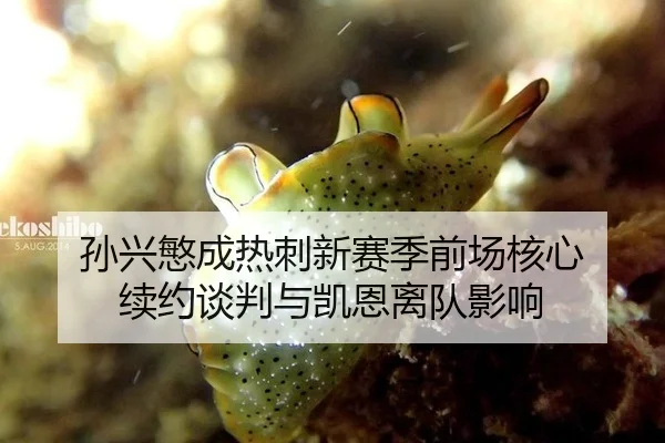 孙兴慜成热刺新赛季前场核心 续约谈判与凯恩离队影响