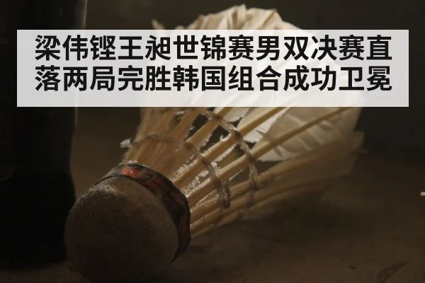 梁伟铿王昶世锦赛男双决赛直落两局完胜韩国组合成功卫冕